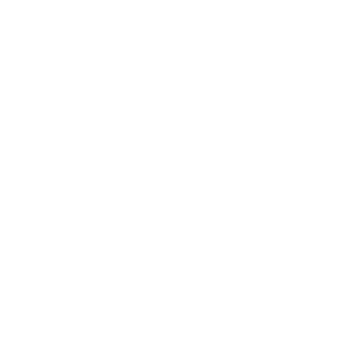 Mr. Rooter